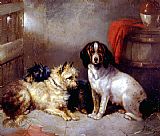 Terriers and Hound